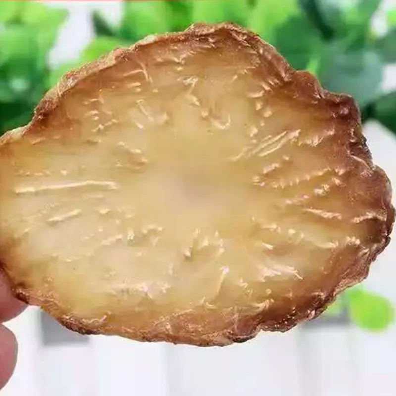 Дикий корень цистанхе.3 Дикий корень цистанхе.3